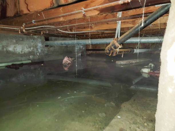  Chena Ridge, AK Water damage restoration Pros